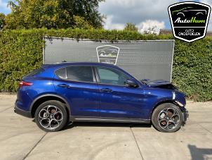 Alfa Romeo Stelvio 2.0 T 16V Q4  (Sloop)