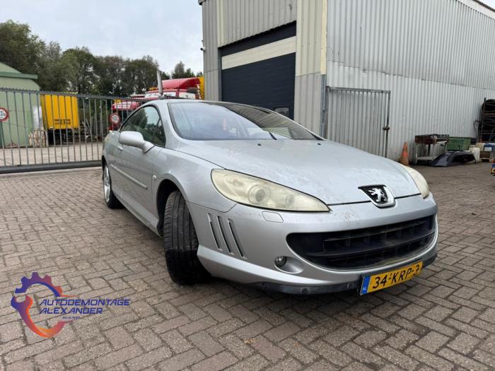 Peugeot 407 2.7 HDi V6 24V Sloopvoertuig (2006, Grijs)