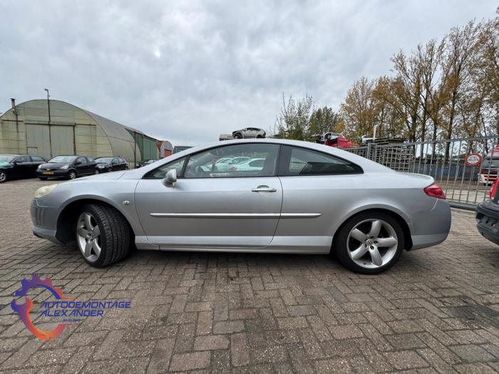 Peugeot 407 2.7 HDi V6 24V Sloopvoertuig (2006, Grijs)