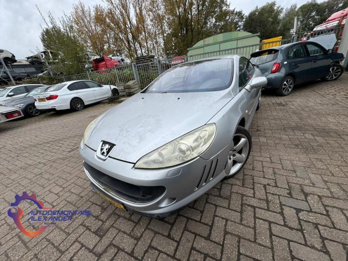 Peugeot 407 2.7 HDi V6 24V Sloopvoertuig (2006, Grijs)