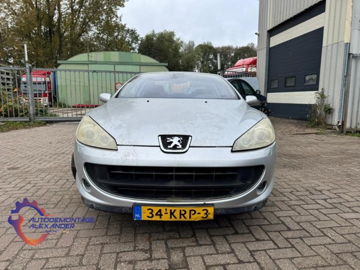 Peugeot 407 2.7 HDi V6 24V Sloopvoertuig (2006, Grijs)