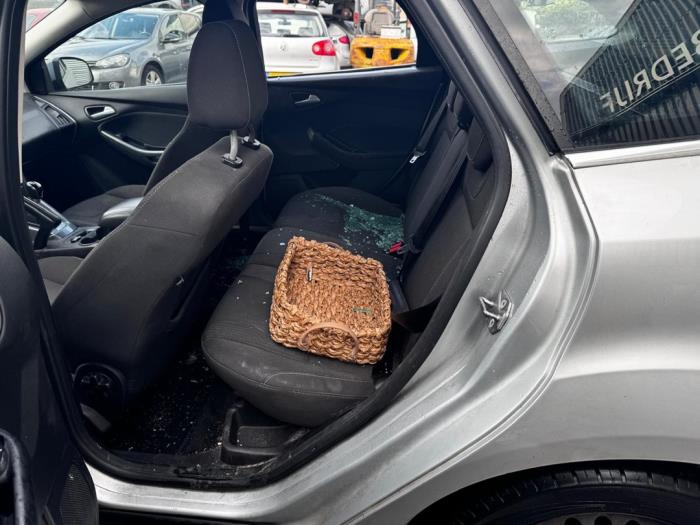 Ford Focus 3 Wagon 1.6 TDCi ECOnetic Sloopvoertuig (2013, Metallic, Zilvergrijs)