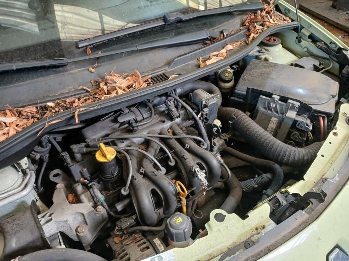 Renault Twingo II 1.2 Skrotfordon (2008, GEEL)