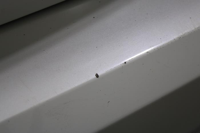 BMW 6 serie Gran Turismo 630d xDrive 3.0 TwinPower Turbo 24V Skrotfordon (2018, WIT)