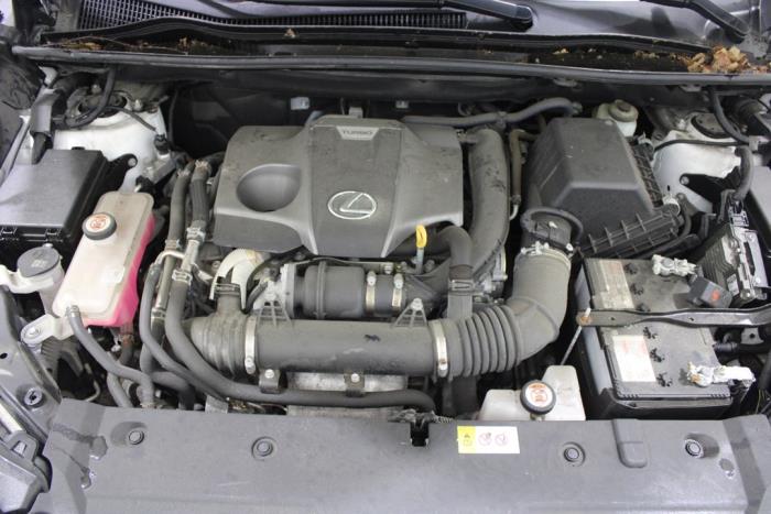 Lexus NX I 300 2.0 16V Sloopvoertuig (2017, Wit)