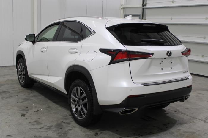 Lexus NX I 300 2.0 16V Sloopvoertuig (2017, Wit)