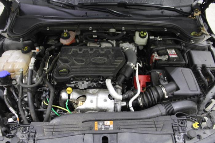 Ford Focus 4 1.5 EcoBlue 120 Sloopvoertuig (2022, Grijs)