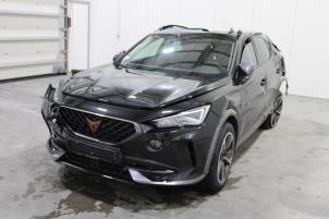 Cupra Formentor 2.0 TSI 16V 4Drive  (Sloop)