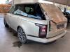 Landrover Range Rover IV 4.4 SDV8 32V Sloopvoertuig (2013, Metallic, Beige)