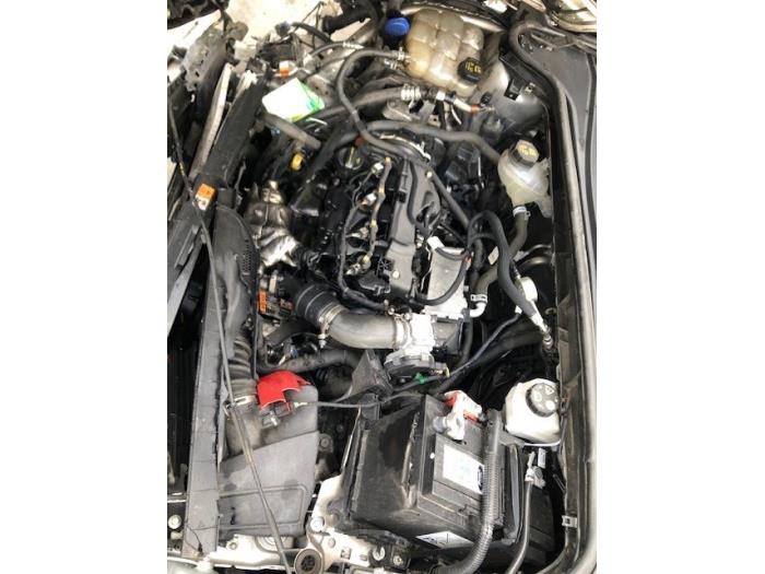 Ford Focus Sloopvoertuig (2020, Zilver)