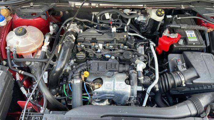 Ford Kuga III 1.5 EcoBlue Sloopvoertuig (2020, Rood)