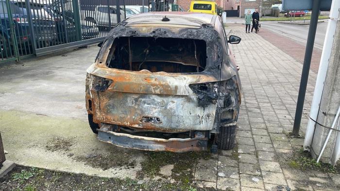 Ford Kuga III 1.5 EcoBlue Sloopvoertuig (2020, Rood)