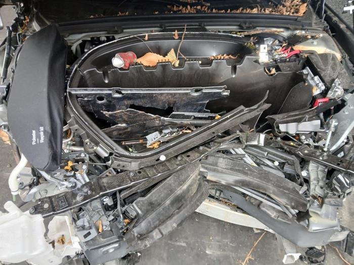 Polestar Polestar 2 BST Edition, Dual Motor Performance Samochód złomowany (2025, Szary)