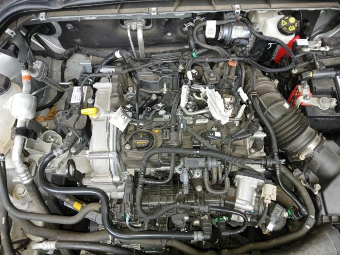 Ford Focus 4 1.0 EcoBoost 12V Hybrid 125 Sloopvoertuig (2023, Zilver)