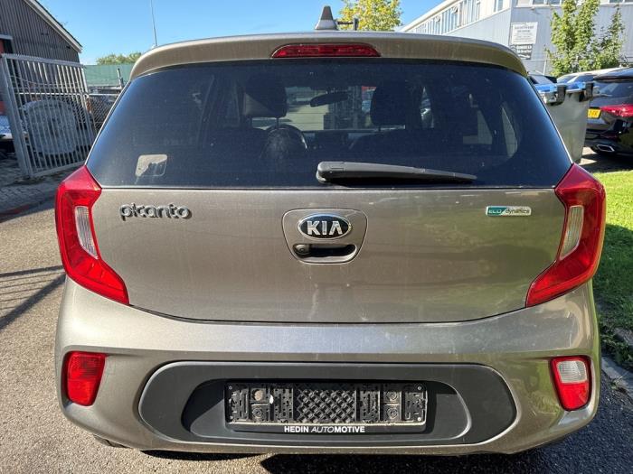 Kia Picanto 1.0 12V Skrotfordon (2017, GRIJS)