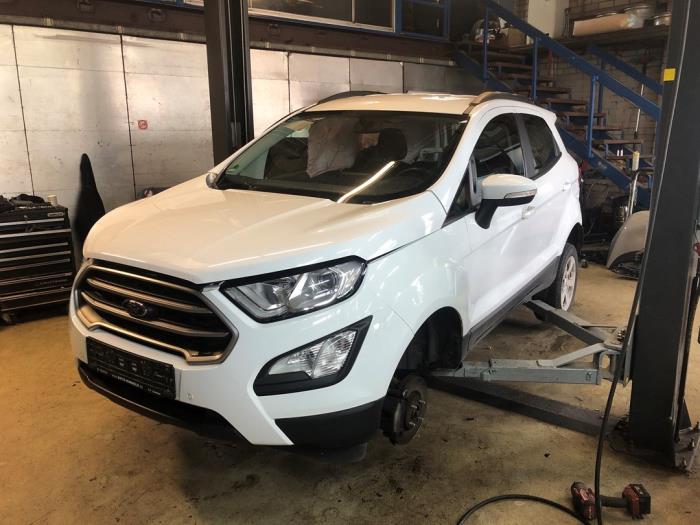 Ford EcoSport 1.0 EcoBoost 12V 100 Sloopvoertuig (2018, Roze, Wit)
