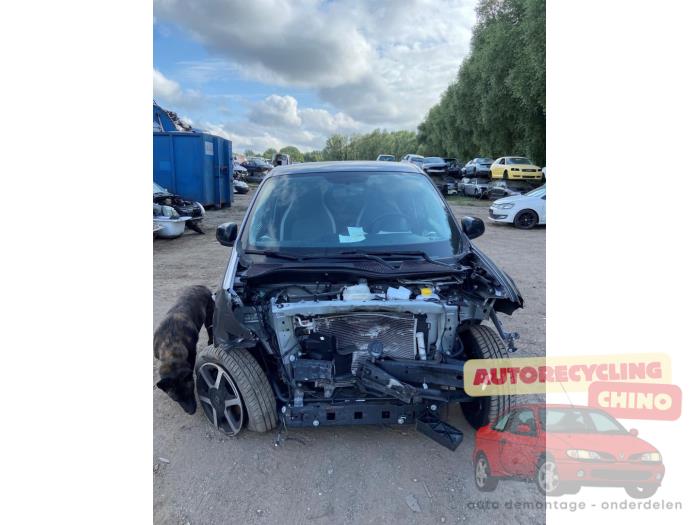 Renault Twingo III 1.0 SCe 70 12V Sloopvoertuig (2018, Grijs)