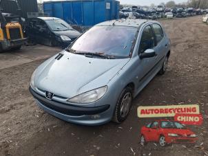 Peugeot 206 1.4 XR,XS,XT,Gentry  (Sloop)