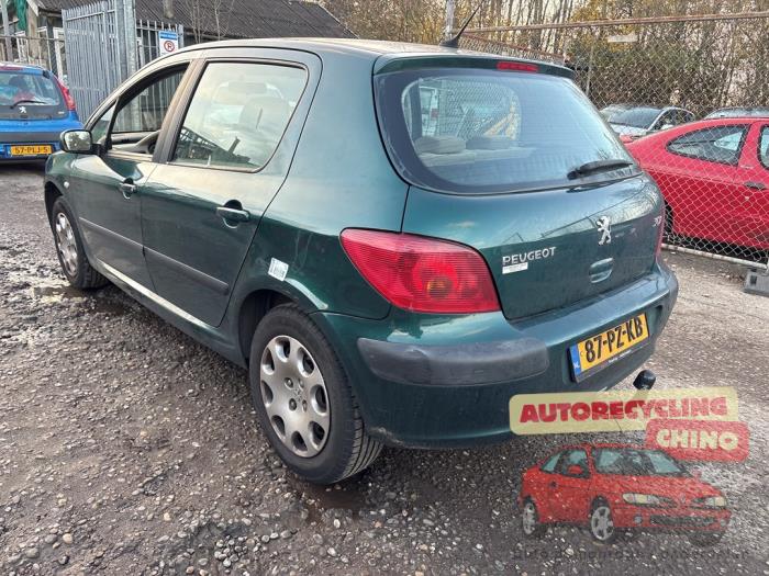 Peugeot 307 1.6 16V Sloopvoertuig (2005, Groen)