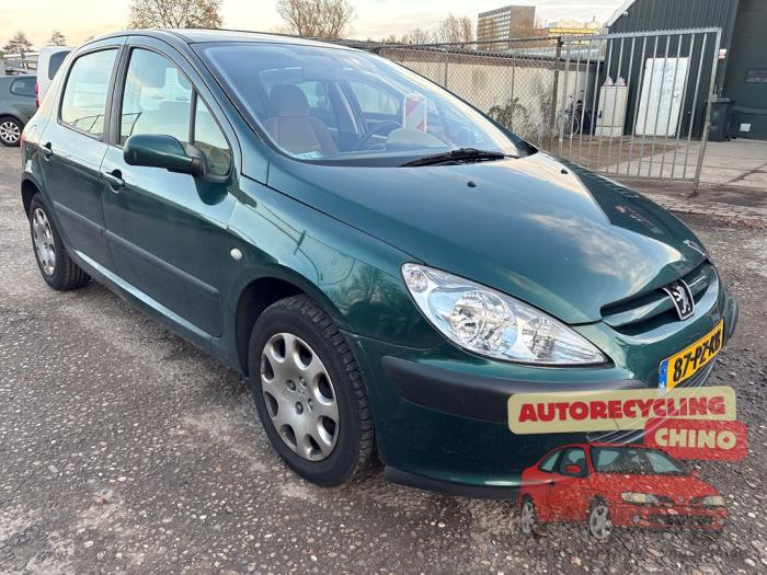 Peugeot 307 1.6 16V Sloopvoertuig (2005, Groen)