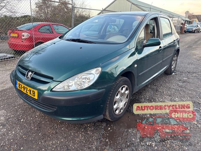 Peugeot 307 1.6 16V Sloopvoertuig (2005, Groen)