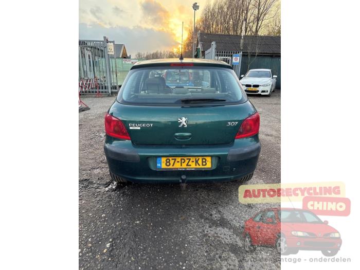 Peugeot 307 1.6 16V Sloopvoertuig (2005, Groen)