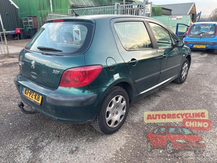 Peugeot 307 1.6 16V Sloopvoertuig (2005, Groen)