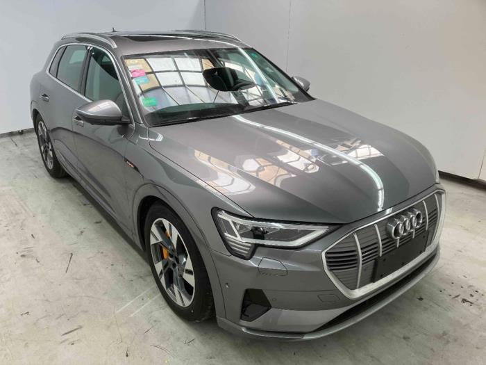 Audi e-tron 55 quattro Sloopvoertuig (2020, Grijs)
