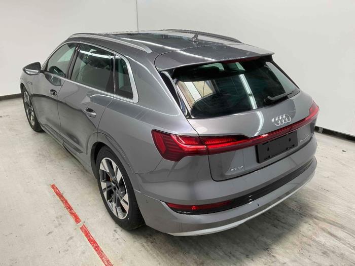 Audi e-tron 55 quattro Sloopvoertuig (2020, Grijs)