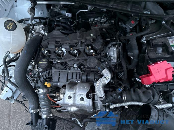 Ford Transit Courier 1.5 EcoBlue Sloopvoertuig (2024, Wit)