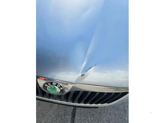 Skoda Fabia II Combi 1.2 TDI 12V Greenline Samochód uszkodzony (2010, Niebieski)